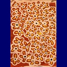 Aboriginal Art Canvas - Dinny Smith-Size:68x96cm - H